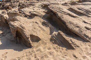 Thinly bedded sandstones (Photo: Tom Pfeiffer)