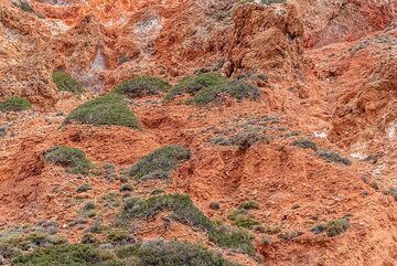 Red altered volcanic rocks (Photo: Tom Pfeiffer)