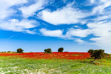 A colourful landscape on Milos island. (Photo: Tobias Schorr)