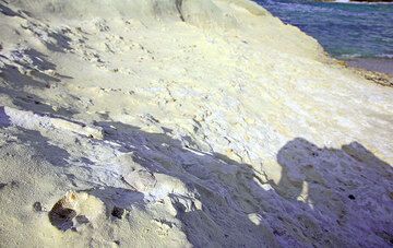 Fossiles de coquillage et d'oursin à Sarakiniko (Photo: Tom Pfeiffer)