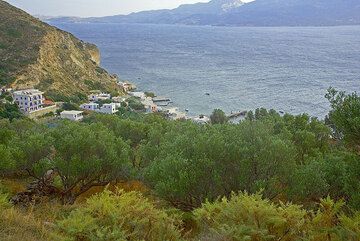 Olivos sobre el pueblo pesquero de Klima. (Photo: Tom Pfeiffer)