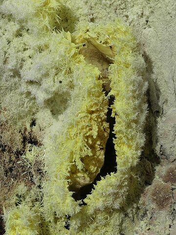 Sulfur crystals that formed around an active fumarole vent (Photo: Ingrid Smet)