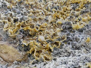 Crust of yellow and white mineralisations between the younger lava domes and craters (Photo: Ingrid Smet)