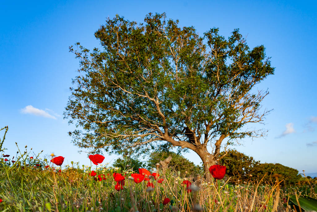 Typischer Blick auf April. (Photo: Tobias Schorr)