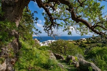 The hiking path and the village Mandraki. (Photo: Tobias Schorr)