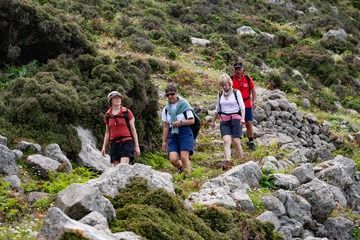 The group hiking on Nisyros. (Photo: Tobias Schorr)