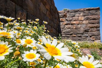 Printemps à l'ancienne acropole de Nisyros. (Photo: Tobias Schorr)