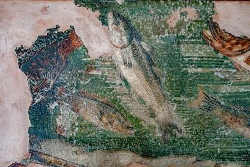 A fish mosaic at the archaeological museum of Kos town. (Photo: Tobias Schorr)