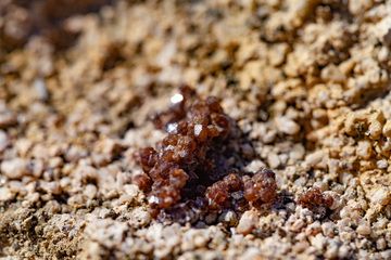 Grossular, Granatkristalle aus dem Dorf Pali. (Photo: Tobias Schorr)