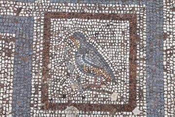 Ancient mosaic in Kos town. (Photo: Tobias Schorr)