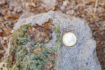 L'un des plus gros grenats que nous ayons trouvé jusqu'à cette époque. (Photo: Tobias Schorr)