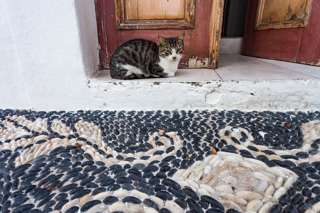 A nice mosaic, made of volcanic pebbles. (Photo: Tobias Schorr)