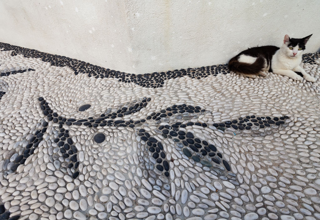 Eine Katze und ein schönes Mosaik im Dorf Mandraki. (Photo: Tobias Schorr)