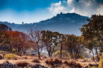 Photos de la visite guidée de Kos et de l'île de Nisyros en octobre 2018 avec Tobias Schorr. Une randonnée géologique et archéologique vers les endroits les plus passionnants de Kos et Nisyros. (Photo: Tobias Schorr)