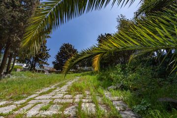An ancient road in the western excavation in Kos town. (Photo: Tobias Schorr)
