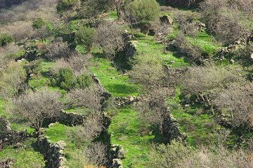 Old terraces cover much of the landscape. (c)