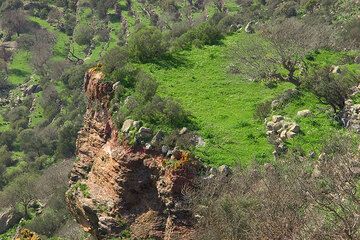 Ein kleiner Steilhang aus roter Lava im Grün der Wiesen. (c)