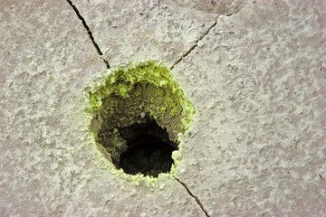 Sulphur crystals around the steam vent. (Photo: Tom Pfeiffer)