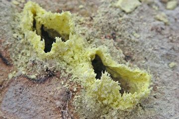 Sulphur crystals forming thin shells. (c)