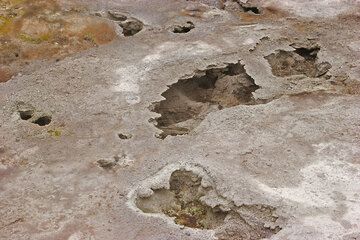 Thin crust covering the crater floor. Underneath is hot, boiling mud and acid water. (c)