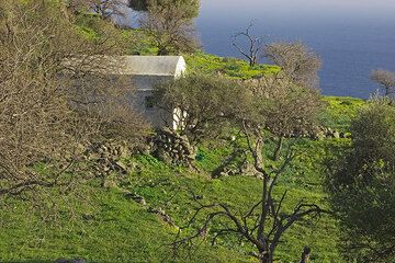 House in the fields of the volcanic island of Nisyros, Greece (Photo: Tom Pfeiffer)
