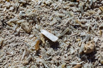 Gypsum crystals in the Sousaki valley. (Photo: Tobias Schorr)