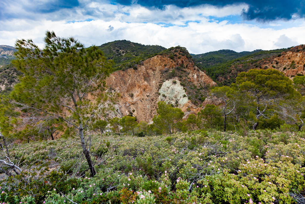 The natural beauty of the Sousaki valley. (Photo: Tobias Schorr)