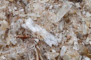 Gypsum crystals from Sousaki. (Photo: Tobias Schorr)