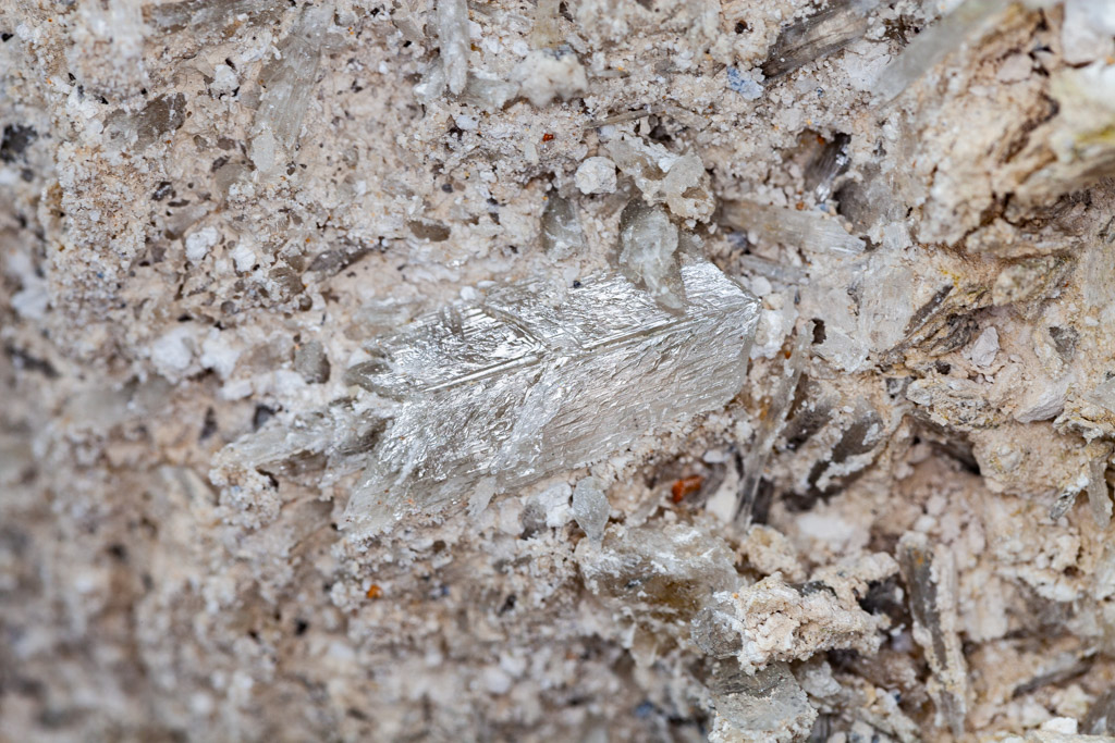 A nice sample of a single crystal of gypsum at Sousaki. (Photo: Tobias Schorr)