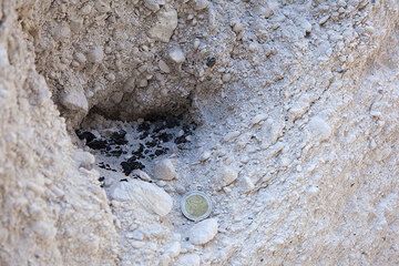Charcoal in the ash deposit  (Photo: Tom Pfeiffer)