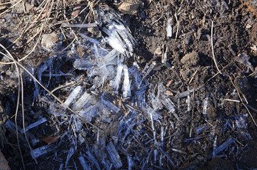 Se forman capas de hielo en forma de aguja durante la noche en el suelo en el lado norte de Santa María (Photo: Tom Pfeiffer)