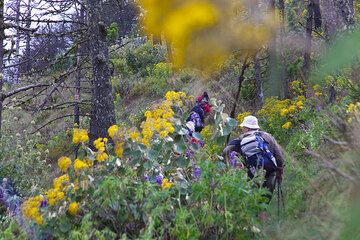 Randonnée sur l'Acatenango (Photo: Tom Pfeiffer)