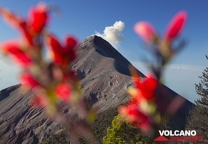Fuego volcano (Photo: Tom Pfeiffer)