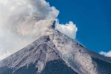 Vue de Fuego depuis l'est le 31 décembre 2015 : le ravin proéminent est l'un des principaux canaux de coulées pyroclastiques dans les canyons de Las Lajas et de San Antonio plus en aval. (Photo: Tom Pfeiffer)