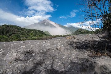 Short visit of the San Antonio canyon, filled by pyroclastic flow deposits only a few weeks old. We have to keep a close watch on the volcano, which seems calmer this morning. (Photo: Tom Pfeiffer)