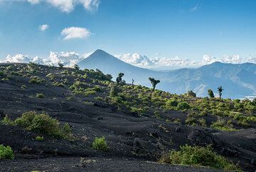 Agua stratovolcano's silhouette seen from Pacaya. (Photo: Tom Pfeiffer)