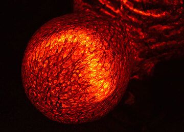 "sphère" de lave Pahoehoe. (Photo: Tom Pfeiffer)