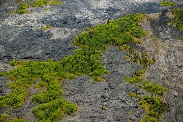 Younger and older lava flows in the area of Royal Gardens (Photo: Tom Pfeiffer)
