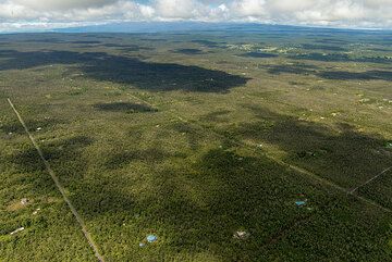 View across the forests of Hawaiian Acres towards the distant slopes of Manua Kea volcano in the background. (Photo: Tom Pfeiffer)