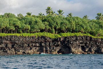 Further northeast, the shore is older and lower. (Photo: Tom Pfeiffer)