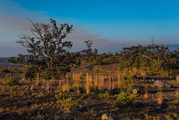 Grassland near the Steam vents (Photo: Tom Pfeiffer)