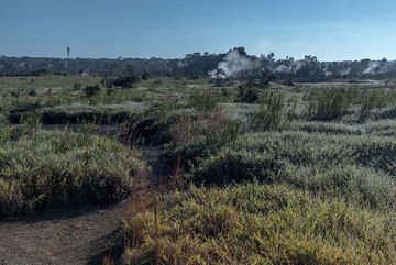 Area near Steam Vents (Photo: Tom Pfeiffer)