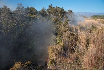 Hot steam escapes from small vents (fissures and small depressions) in the ground. These are fed by heated rain water that infiltrates the upper rock layers. (Photo: Tom Pfeiffer)