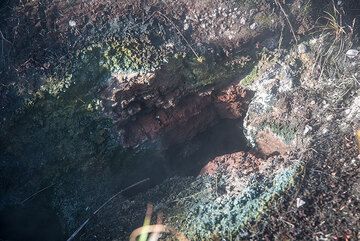 Colorful algae and bacteria deposits at one of the steam vents. (Photo: Tom Pfeiffer)