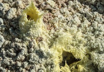 Um die vielen kleinen Löcher im Boden bilden sich zerbrechliche monokline Schwefelnadeln. (Photo: Tom Pfeiffer)