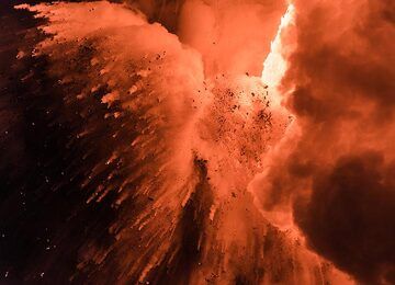 Fire bird (Photo: Tom Pfeiffer)