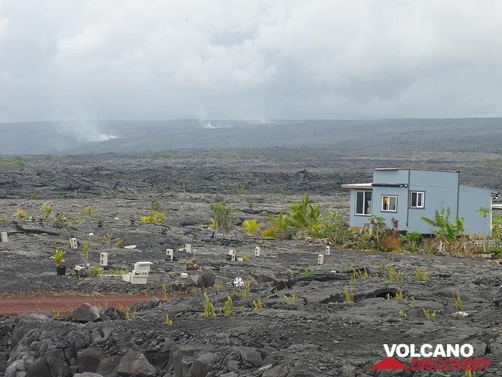 Day 2: Some new settlements atop the Pu´u O´o lava flows that covered a vast area since the start of the eruption in 1983. In the background, volcanic gasses are rising up above the largely underground path of the current lava flows to the ocean. (Photo: Ingrid Smet)