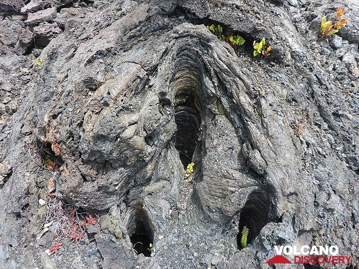 Tag 2: Feuchtigkeit im Holz des Baumstamms und Gasblasen in der Lava schützen hervorragend vor der vollständigen Verbrennung, sodass eine perfekte Form des Baumstamms entsteht (Photo: Ingrid Smet)