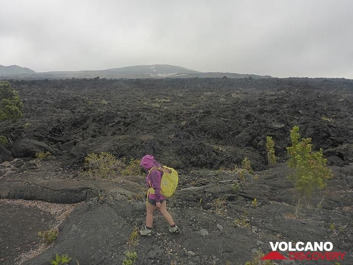 Tag 2: Blick über die Lavaströme des Mauna Ulu von 1969 bis 1974 mit (im Vordergrund) und im Hintergrund dem Lavaschild von Pu´u O´o (Photo: Ingrid Smet)