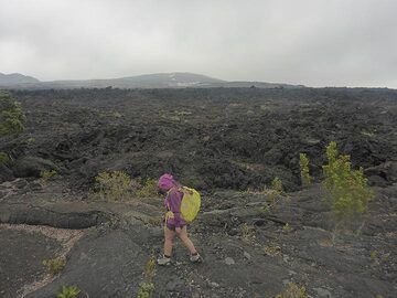 Tag 2: Blick über die Lavaströme des Mauna Ulu von 1969 bis 1974 mit (im Vordergrund) und im Hintergrund dem Lavaschild von Pu´u O´o (Photo: Ingrid Smet)